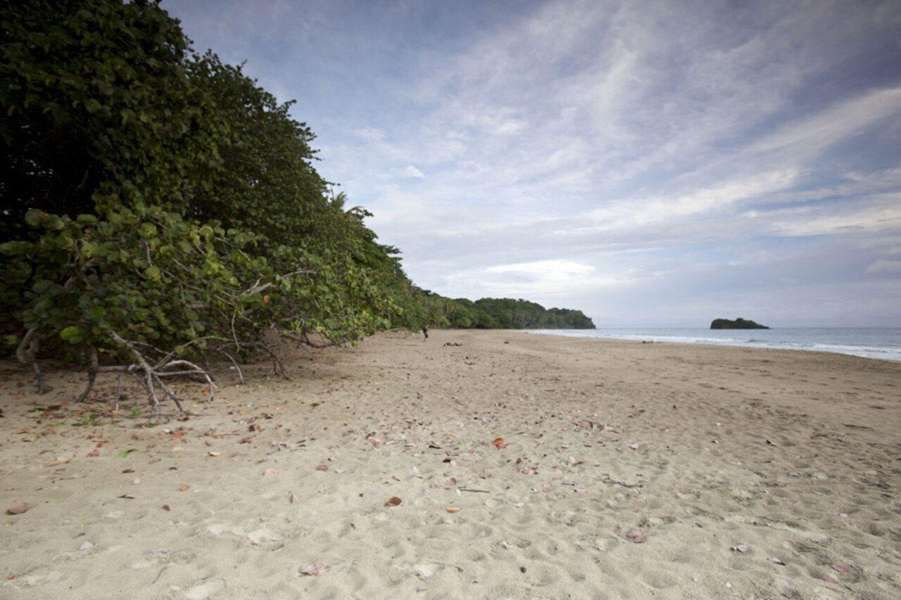 Azania Bungalows Puerto Viejo de Talamanca Экстерьер фото