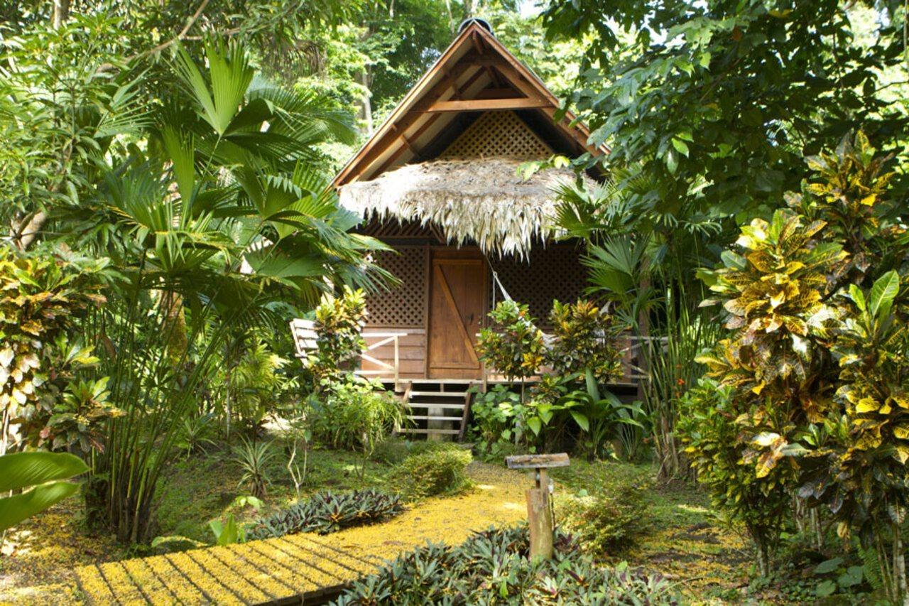 Azania Bungalows Puerto Viejo de Talamanca Экстерьер фото