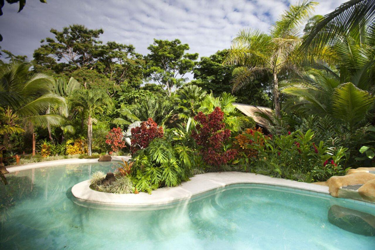 Azania Bungalows Puerto Viejo de Talamanca Экстерьер фото