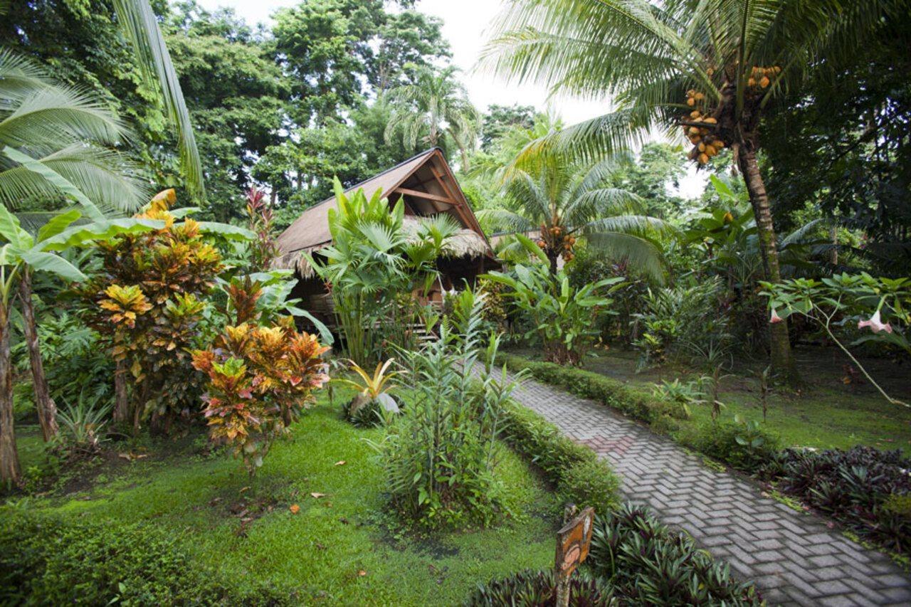 Azania Bungalows Puerto Viejo de Talamanca Экстерьер фото