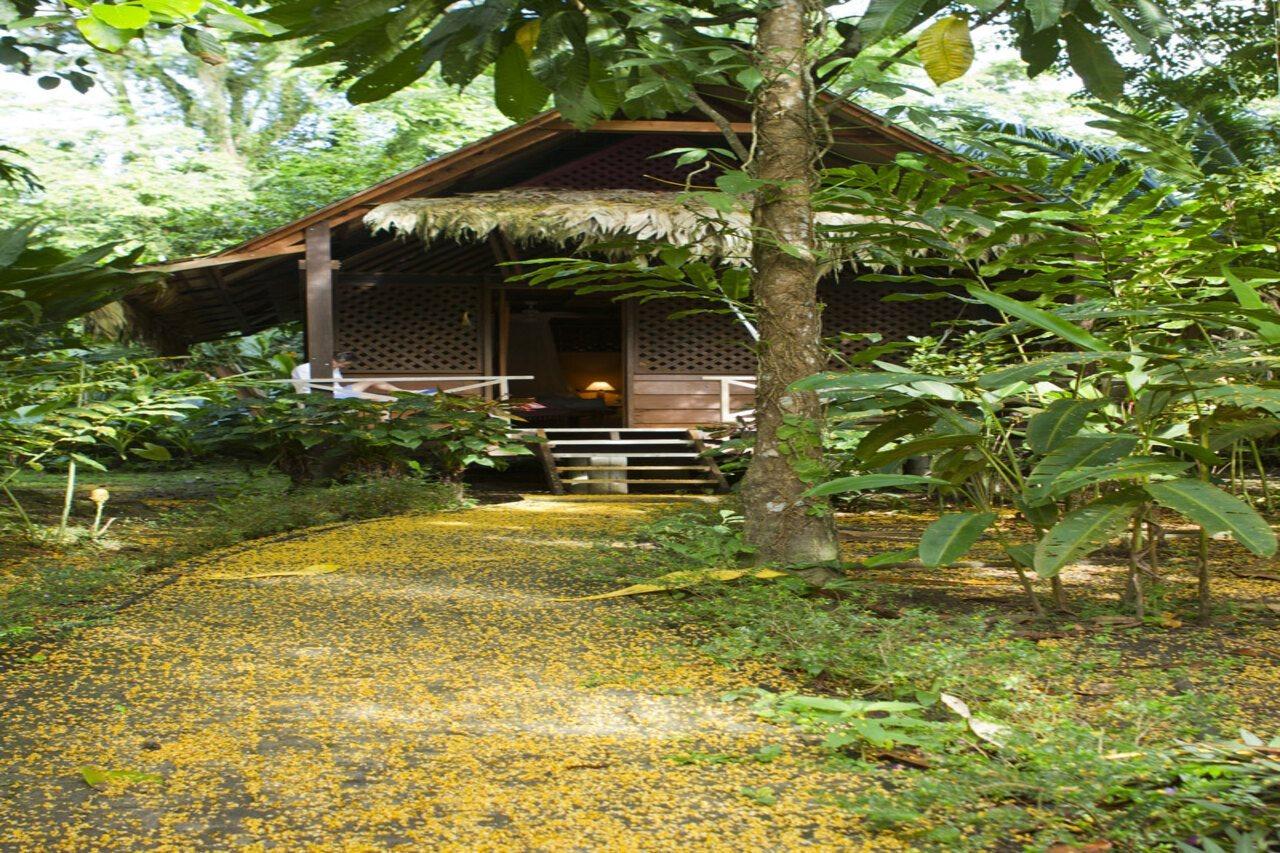 Azania Bungalows Puerto Viejo de Talamanca Экстерьер фото